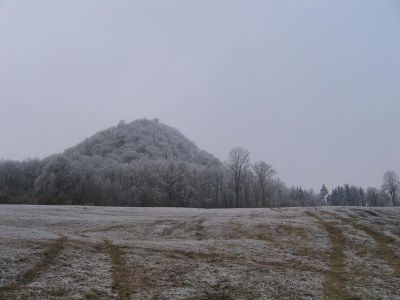 IMG_4909.JPG