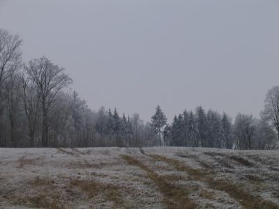 IMG_4910.JPG