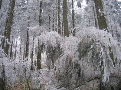 IMG_4914.JPG