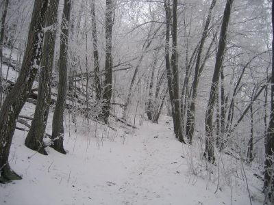 IMG_4916.JPG