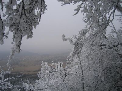 IMG_4920.JPG