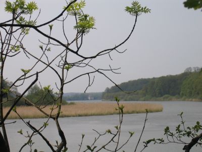 Chotesice-5-2006_049.jpg
