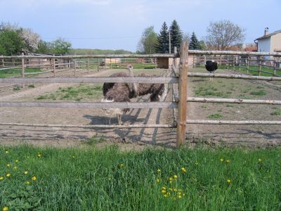 Chotesice-5-2006_068.jpg
