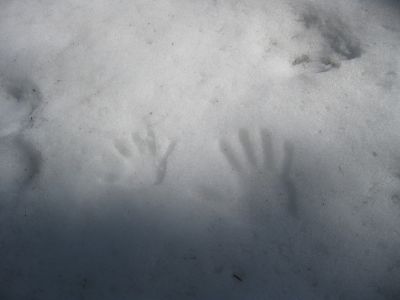 IMG_1521.JPG
