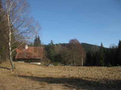 IMG_1555.JPG