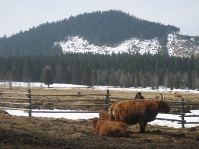 IMG_1635.JPG