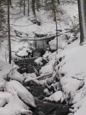 IMG_4973.JPG