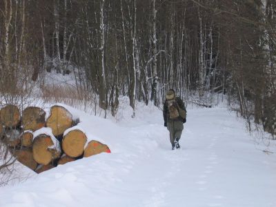 IMG_4978.JPG