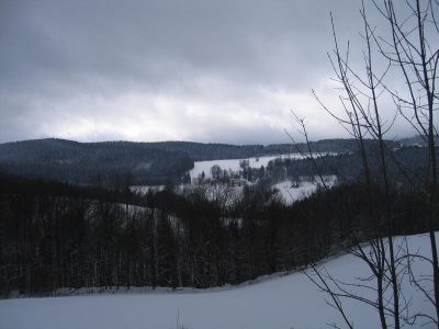 IMG_4979.JPG