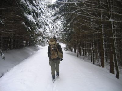 IMG_4980.JPG