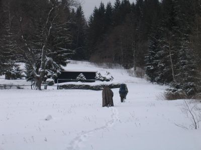 IMG_4982.JPG