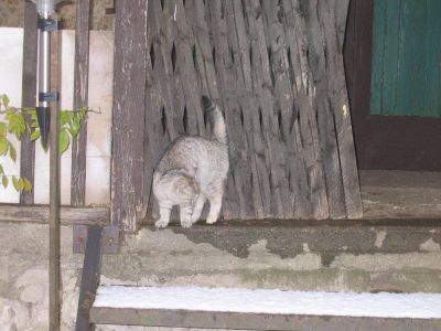 IMG_4843.JPG