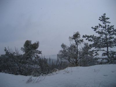 IMG_4848.JPG