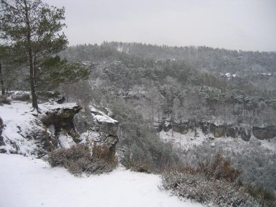 IMG_4850.JPG