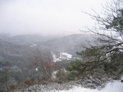 IMG_4852.JPG