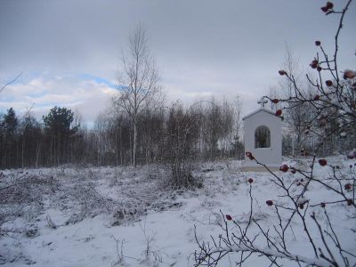 IMG_4855.JPG