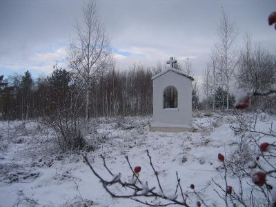IMG_4856.JPG