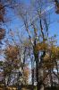 DSC00638.JPG