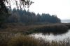 DSC00650.JPG