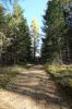 DSC00651.JPG