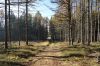 DSC00653.JPG
