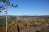 DSC00660.JPG