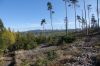 DSC00664.JPG