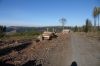 DSC00666.JPG