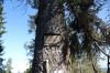 DSC00676.JPG