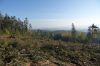 DSC00682.JPG