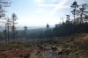 DSC00683.JPG