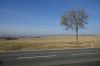 DSC00687.JPG