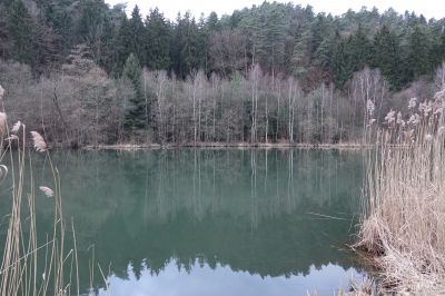 DSC00754.JPG