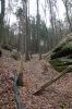 DSC00728.JPG