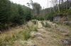 DSC00732.JPG