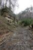 DSC00733.JPG