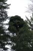 DSC00737.JPG