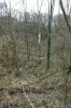 DSC00738.JPG