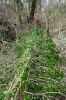 DSC00740.JPG
