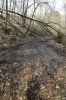 DSC00742.JPG