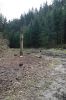 DSC00744.JPG