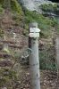 DSC00745.JPG