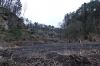 DSC00756.JPG