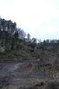 DSC00758.JPG