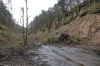 DSC00763.JPG