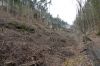 DSC00767.JPG