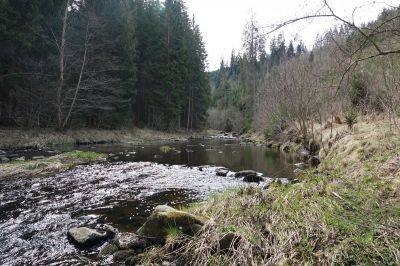 DSC00871.JPG