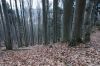 DSC00783.JPG