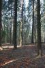 DSC00797.JPG