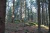 DSC00798.JPG